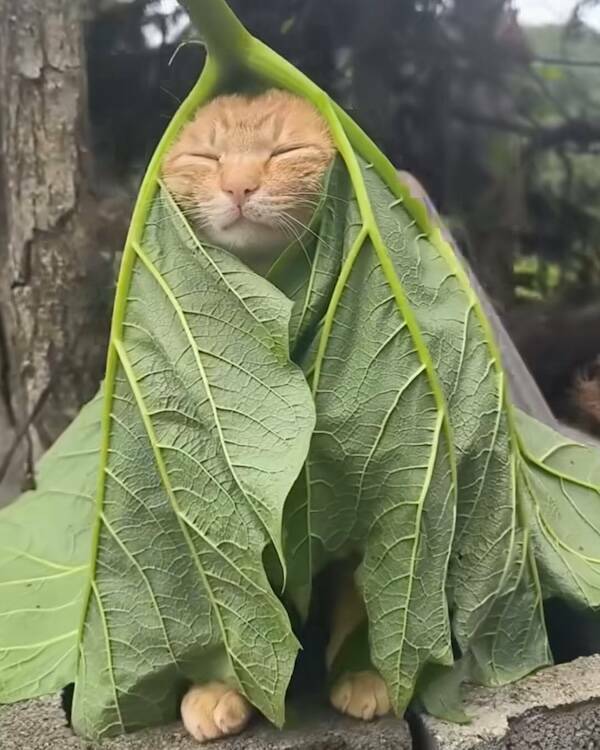 Moments That Spark a Smile