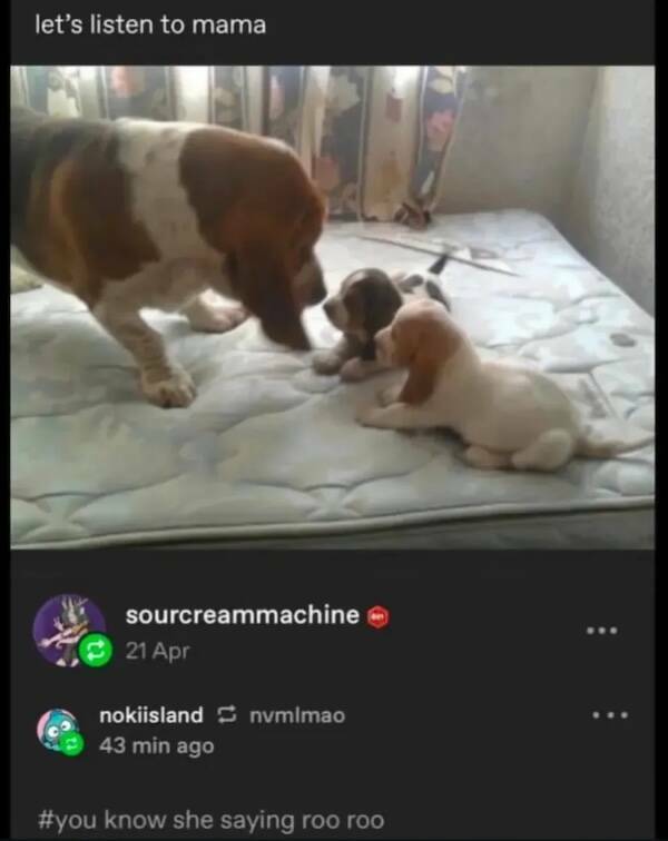 Moments That Spark a Smile