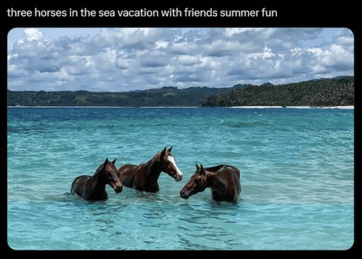 Pawsitively Hilarious Animal Memes