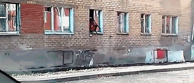 Daily Gifdump Daily Gifdump