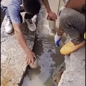 Daily Gifdump Daily Gifdump