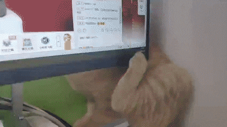 Daily Gifdump Daily Gifdump