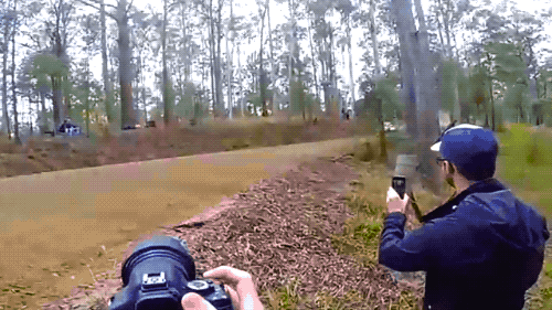 Daily Gifdump Daily Gifdump