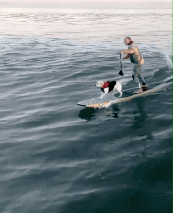 Daily Gifdump Daily Gifdump