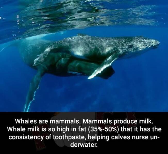 Daily Picdump Daily Picdump