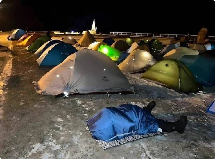 Daily Picdump Daily Picdump