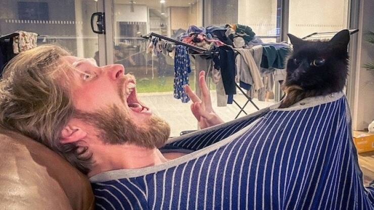 Daily Picdump Daily Picdump