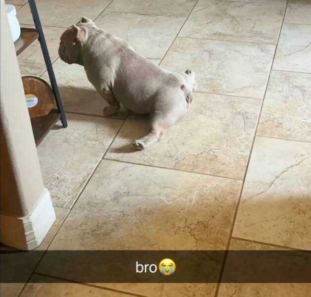 Daily Picdump Daily Picdump