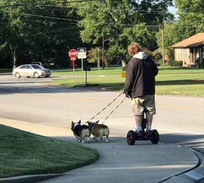 Daily Picdump Daily Picdump