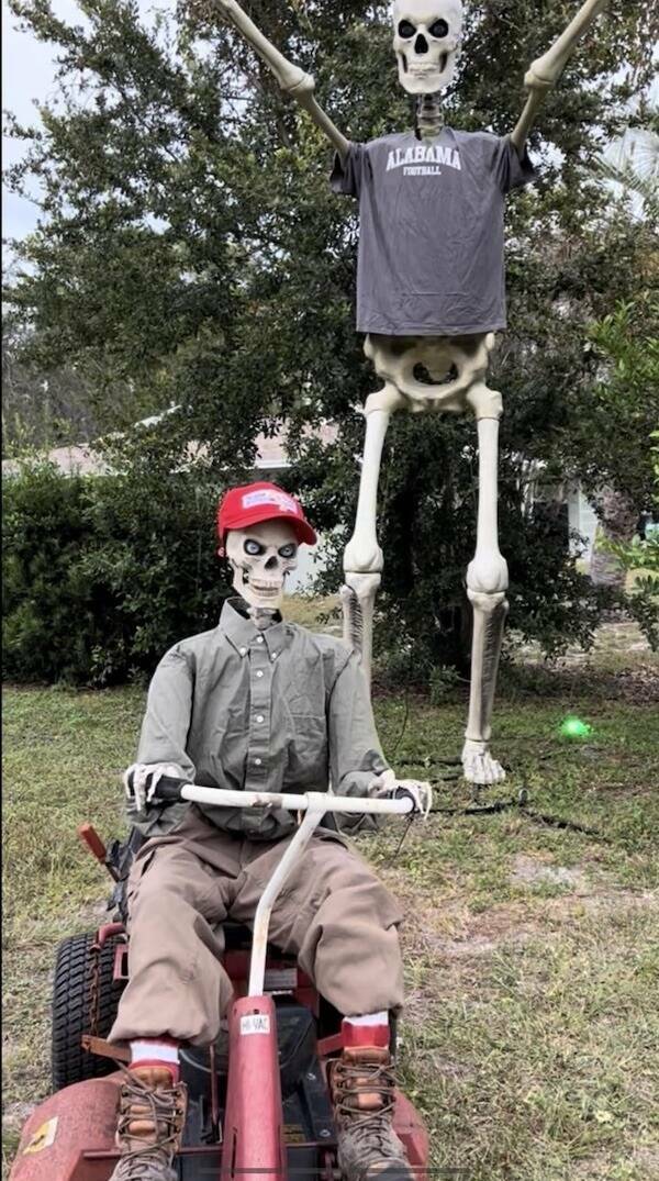 Daily Picdump Daily Picdump