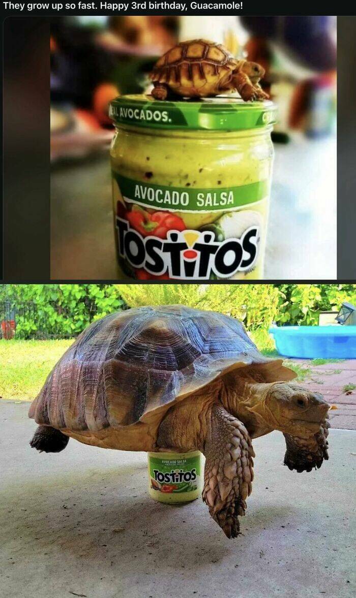 Fluffy, Funny, and Full of Love