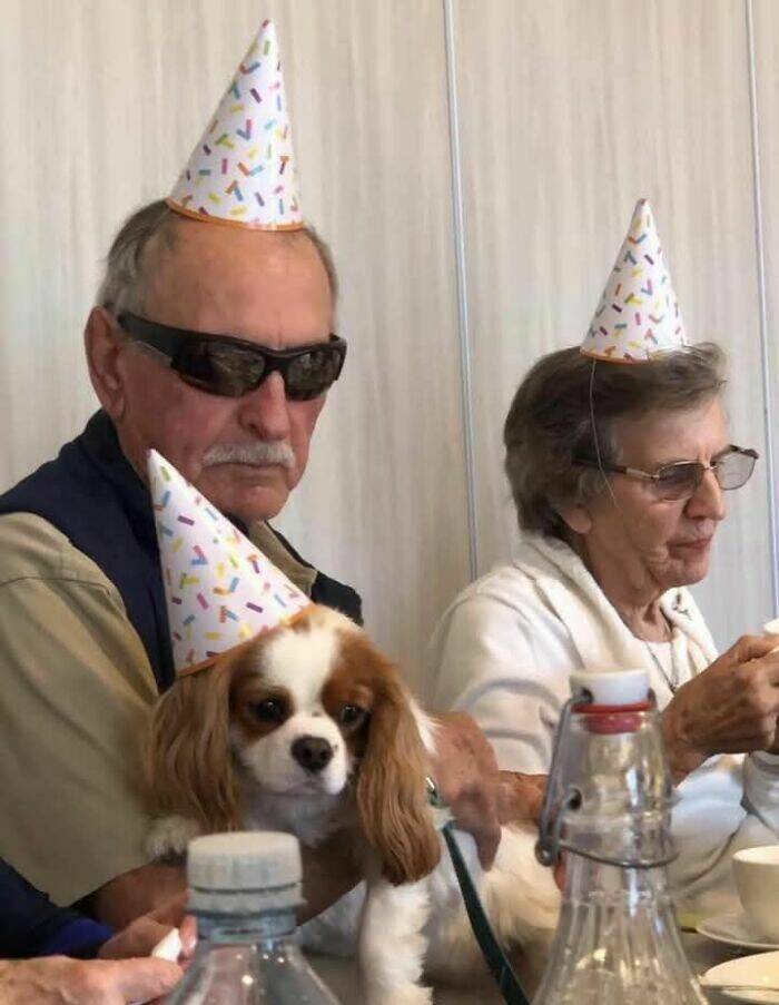 Fluffy, Funny, and Full of Love