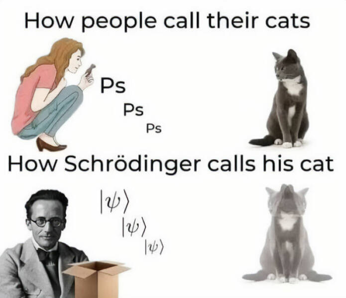 LOL-Worthy Science Jokes for Everyone