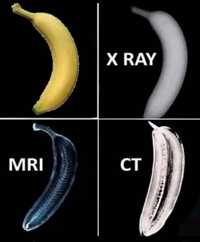 LOL-Worthy Science Jokes for Everyone