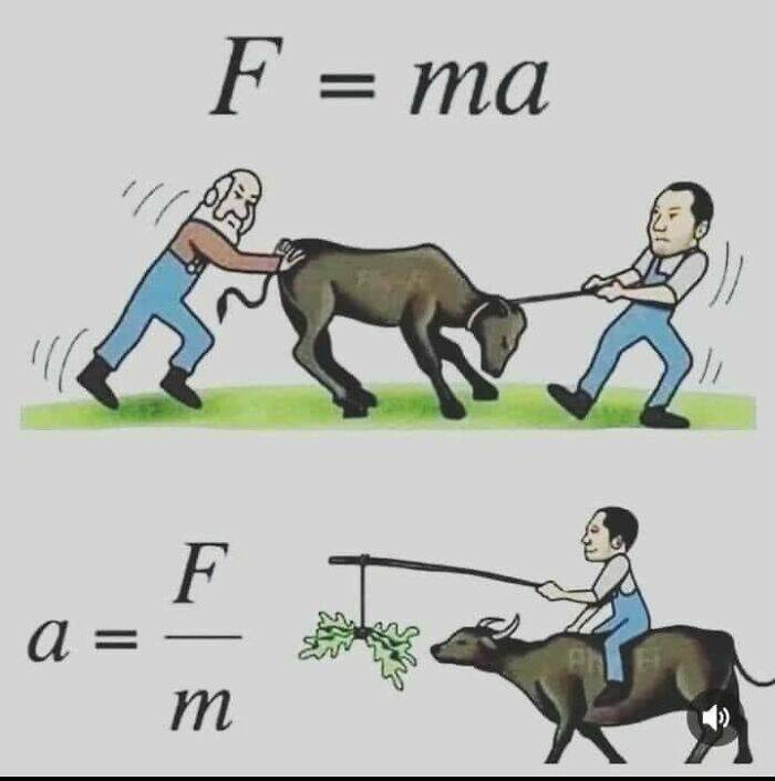 LOL-Worthy Science Jokes for Everyone