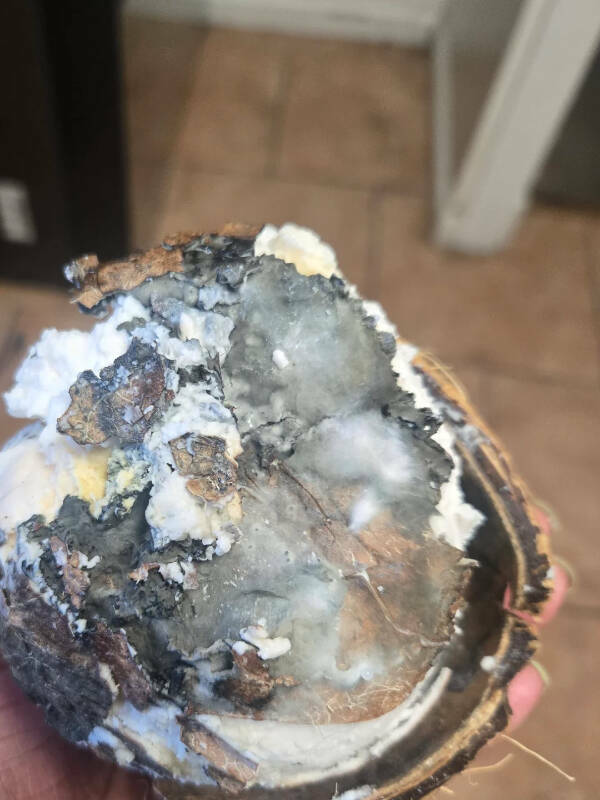 Tiny Annoyances That Drive Us Wild