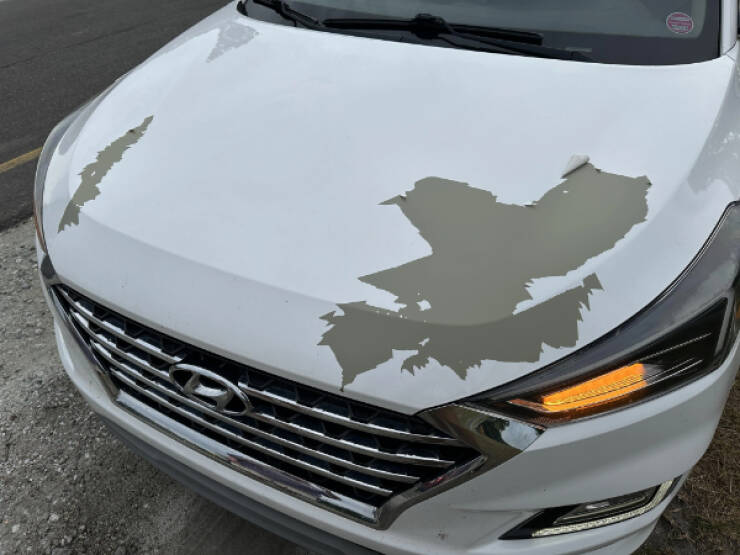 When Bad Days Strike