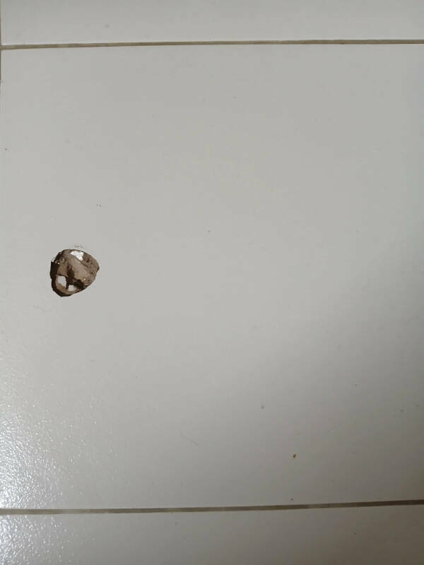 When Bad Days Strike