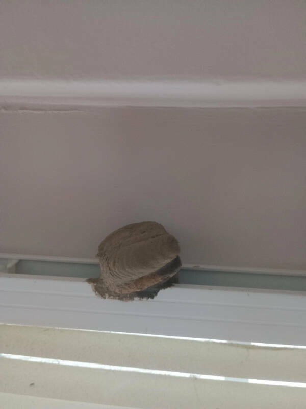 When Bad Days Strike