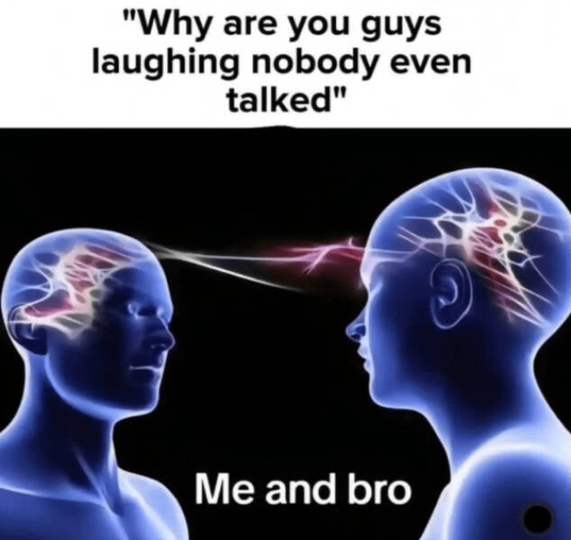 Wholesome Memes That Feel Like A Warm Hug