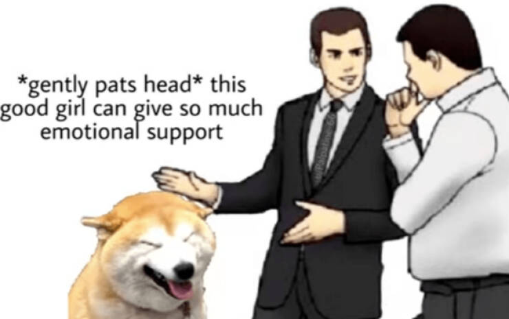 Wholesome Memes That Feel Like A Warm Hug