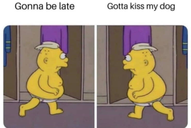 Wholesome Memes That Feel Like A Warm Hug