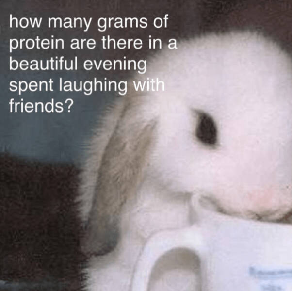 Wholesome Memes That Feel Like A Warm Hug