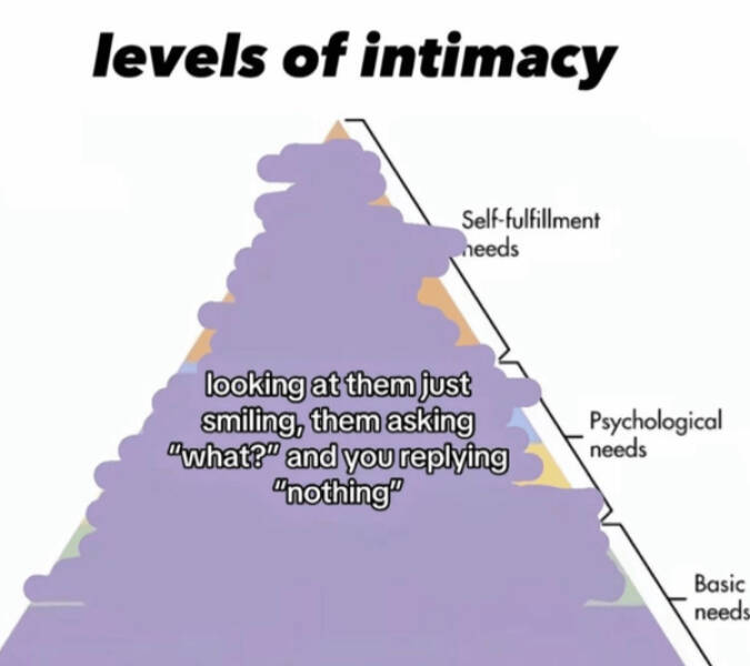 Wholesome Memes That Feel Like A Warm Hug