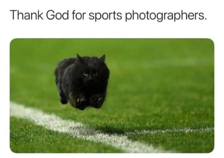 Wholesome Memes That Feel Like A Warm Hug