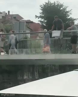 Daily Gifdump Daily Gifdump