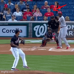 Daily Gifdump Daily Gifdump