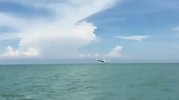 Daily Gifdump Daily Gifdump