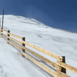 Daily Gifdump Daily Gifdump