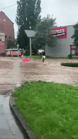 Daily Gifdump Daily Gifdump