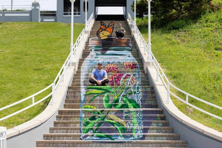 Daily Picdump Daily Picdump