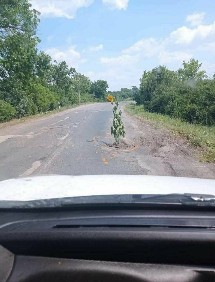 Daily Picdump Daily Picdump