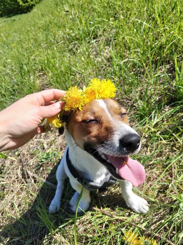 Daily Picdump Daily Picdump