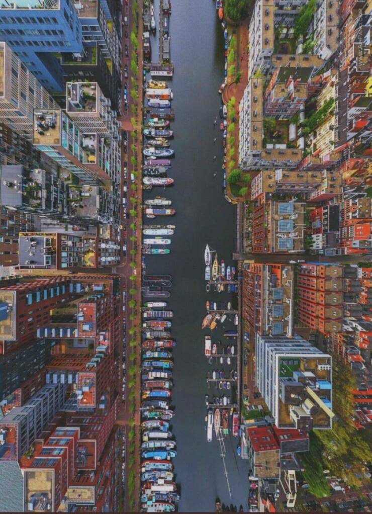 Daily Picdump Daily Picdump