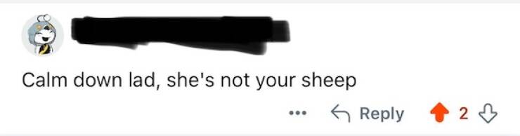 Savage Comebacks That Leave No Survivors