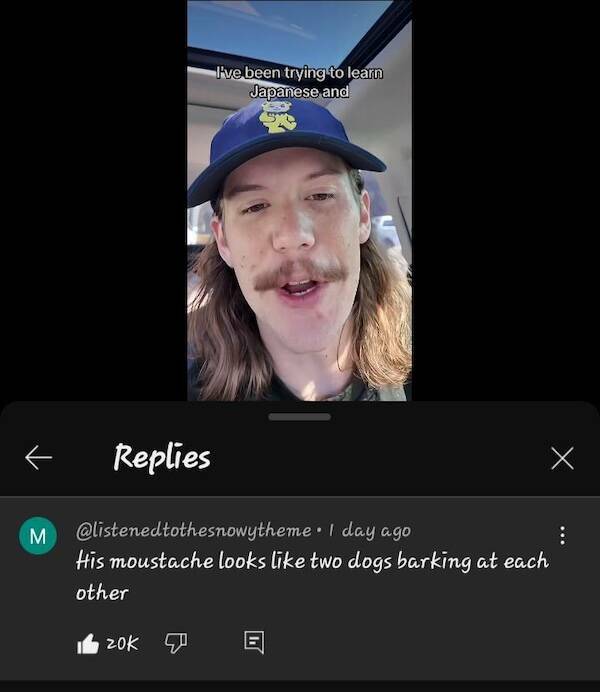 Savage Comebacks That Leave No Survivors