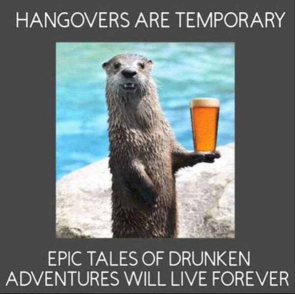 Silly but True: Memes That Nail It