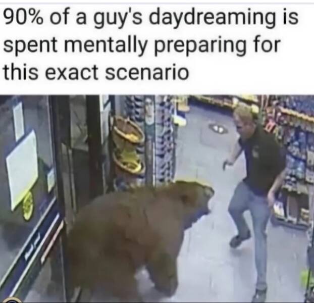 Silly but True: Memes That Nail It