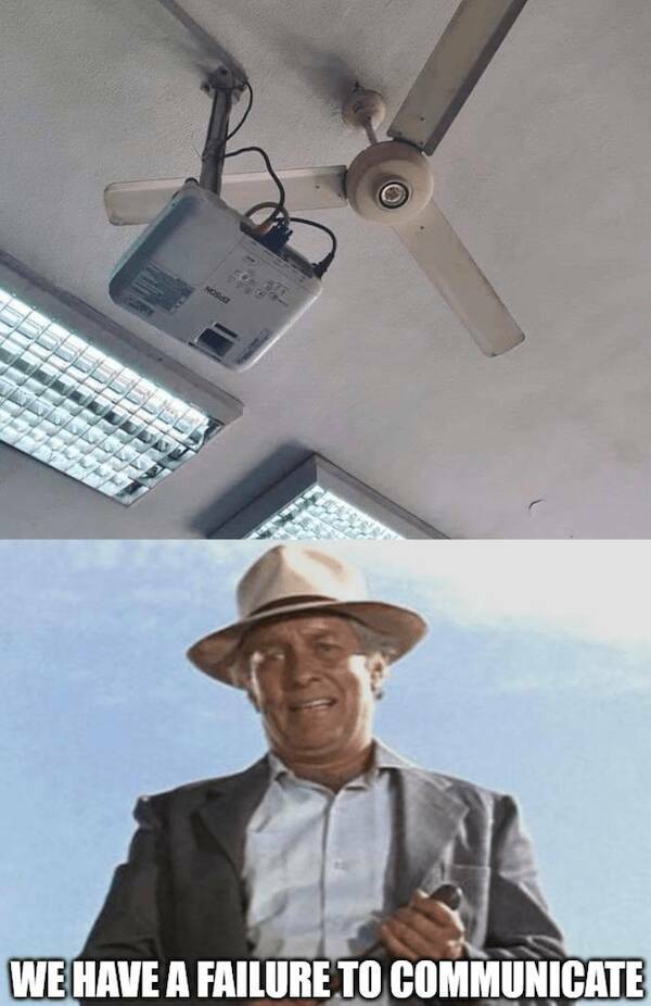 Silly but True: Memes That Nail It