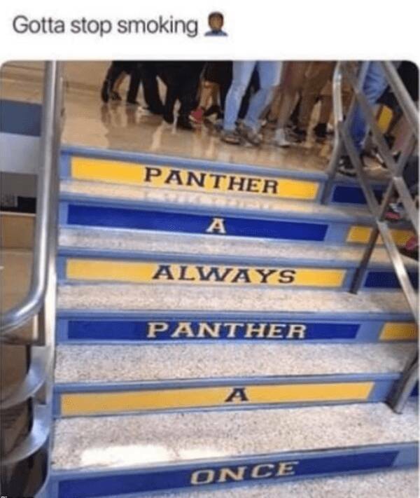 Silly but True: Memes That Nail It