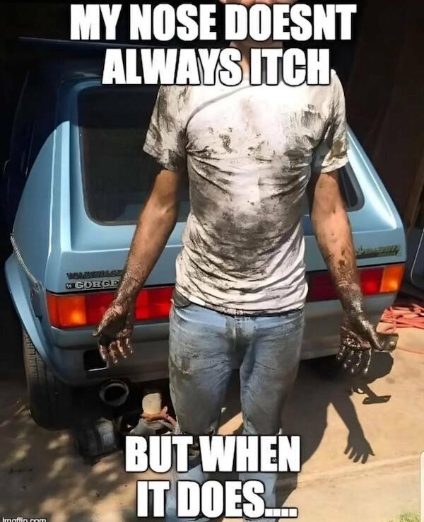 Silly but True: Memes That Nail It