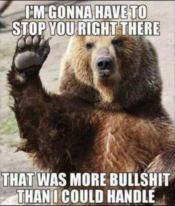 Silly but True: Memes That Nail It