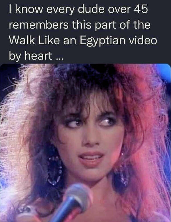 Silly but True: Memes That Nail It