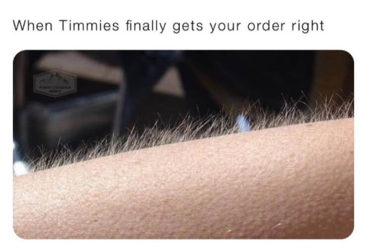 These Canadian Memes Are Hilarious