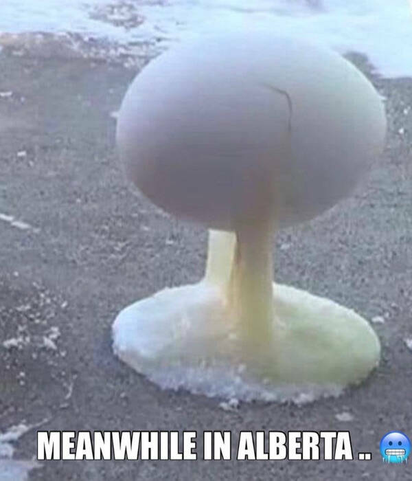 These Canadian Memes Are Hilarious
