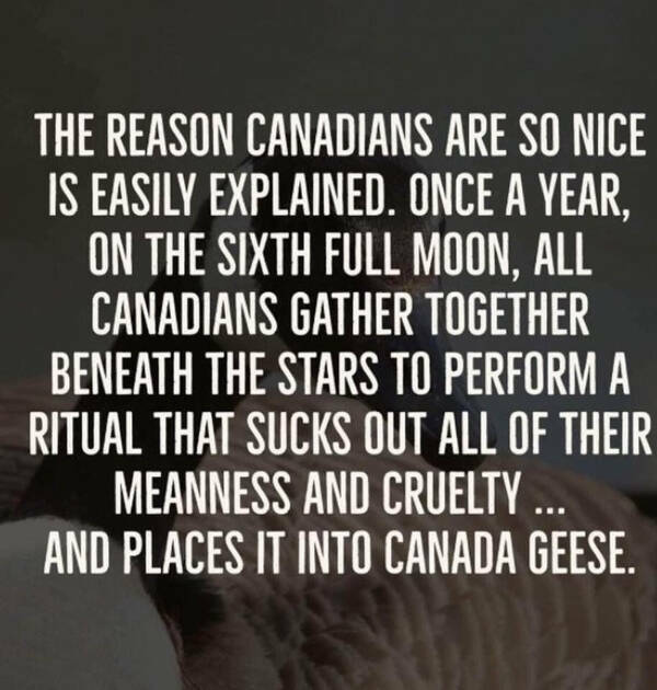 These Canadian Memes Are Hilarious